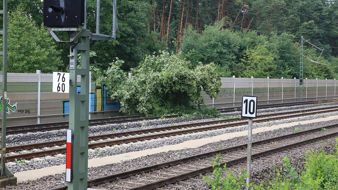 Gewitter über Mittelfranken haben Bäume umstürzen lassen. Im Landkreis Roth war eine Bahnstrecke zeitweise lahmgelegt.