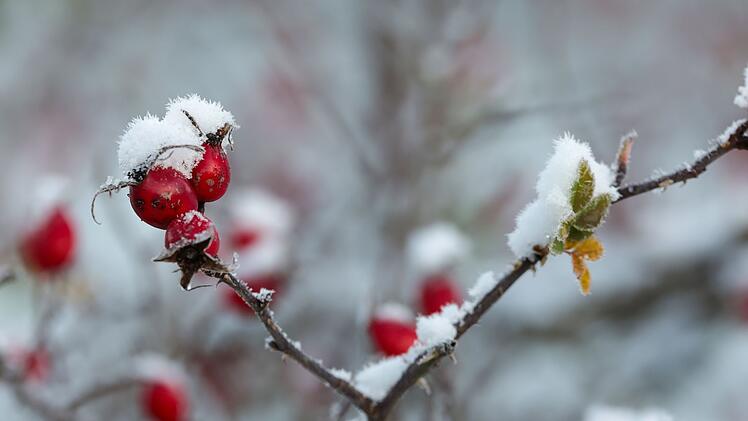 Wetter in Baden-Württemberg