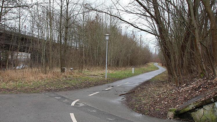 Neben diesem Geh- und Radweg, der zwischen Stadtautobahn und Bahndamm entlang führt, hat die Polizei am Freitag und Samstag das Skelett geborgen. Fotos: Ulrike Nauer