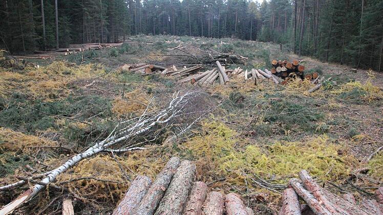 Blick auf einen der Windanlagenstandorte. Der Platz muss noch von Stammstücken und Ästen geräumt werden.  Foto: Friedwald Schedel