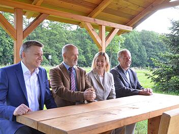 Da war noch Hoffnung und Zuversicht. Heiko Vogt, Jürgen W. Heike, Beate Meißner und Frank Rebhan warben vor wenigen Wochen an der Landesgrenze bei der "Gebrannten Brücke" für das gemeinsame Oberzentrum. Foto: CT-Archiv, Rainer Lutz