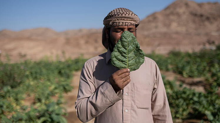 Pressefotos aus aller Welt - Kitzingen stellt die besten aus
