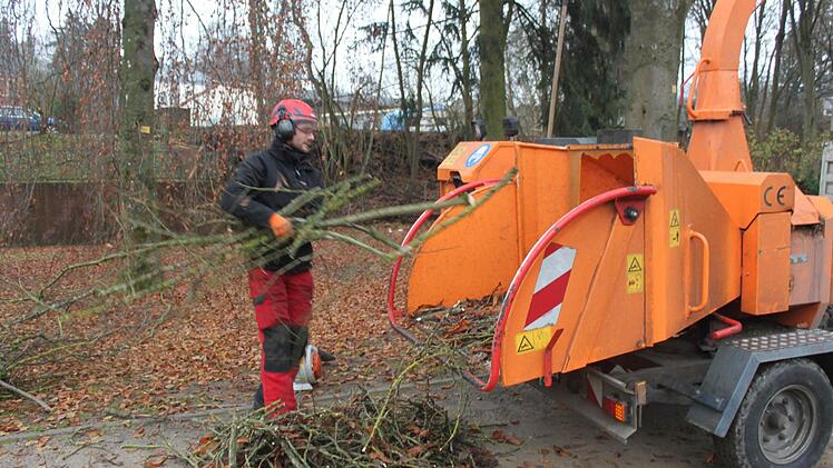 Anschließend verschwinden die Ästchen im Häcksler. Foto: Mäuser