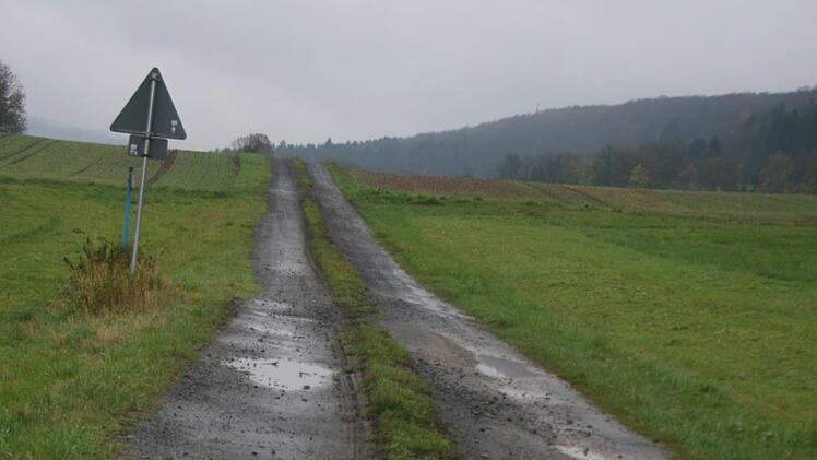 In einem desolaten Zustand befindet sich der Radweg zwischen Rottenbach und Tremersdorf. Nach Worten von Bürgermeister Straubel sollen die Radwege sukzessive ausgebaut werden. Foto: Martin Rebhan