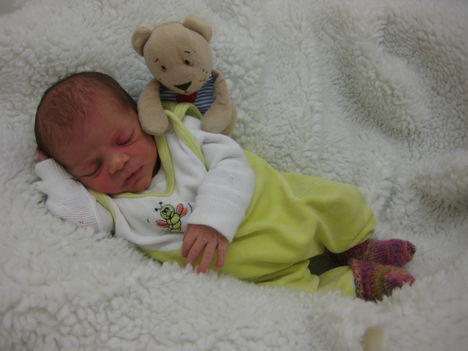 Babygalerie 292