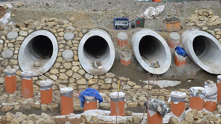 Foto: Ronald Rinklef