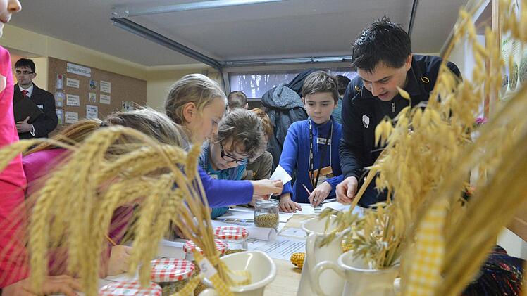 Das Erkennen verschiedener Getreidesorten ist eine der insgesamt fünf Station im Lehrprogramm "Vom Korn zum Brot". Ihre Ergebnisse tragen die Kinder in eine Rätselmappe ein. Fotos: Ronald Rinklef