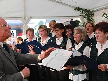 Die Liedertafel Hafenpreppach unter der Leitung von Jens Fertinger. Foto: Becht