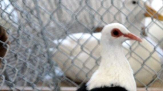 Foto: Richard Sänger