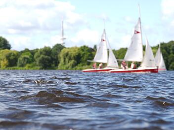Segler auf der Alster