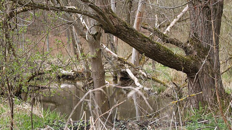 ...unwegsames Gelände.