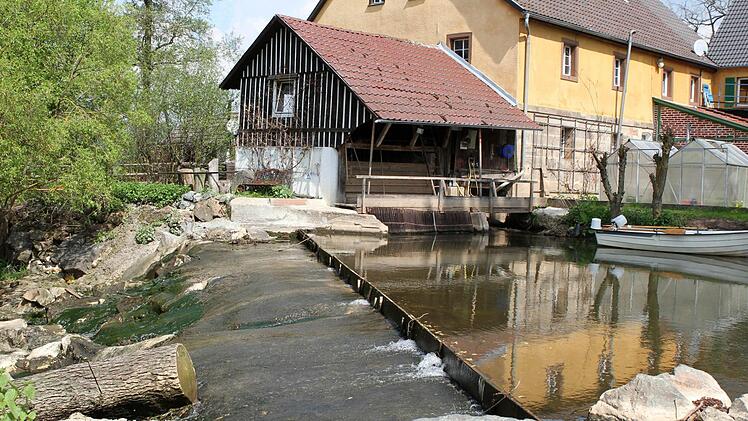 Idylle hinterm Wehr: Hartmut Kolb nutzt mit seiner Frischenmühle den Arm des Roten Mains zur Stromgewinnung. Im Turbinenhaus tut eine Maschine Dienst, die Kolb vor 17 Jahren am Bodensee erwarb. Fotos: Jochen Nützel/Katrin Geyer