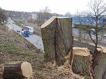 Blick vom Ahrenshügel bei Ahorn aufs Coburger Weichengereuth: Diese Baumfällungen dienten auch der Sicherheit des unten parallel zur Straße verlaufenden Geh- und Radweges. Fotos: Berthold Köhler/Horst Schunk