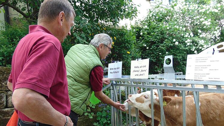 Foto: Petra Malbrich