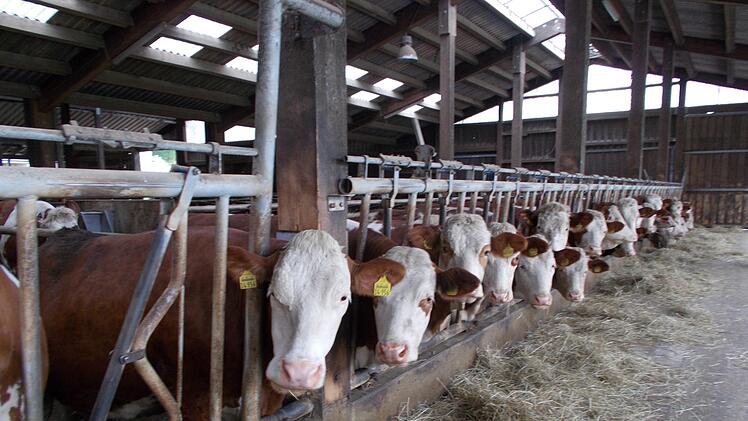 Wer besucht uns denn heute ... Foto: Elke Schneider