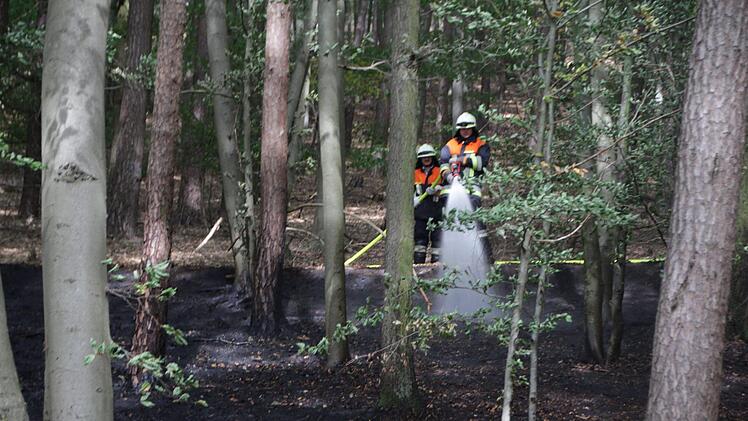 Den Waldbrand bei Ailsbach hatte die Feuerwehr schnell unter Kontrolle.  Foto: Andreas Dorsch