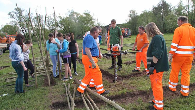 In rund zwei Wochen soll in den Mainauen bei Unterwallenstadt ein großes Weiden-Labyrinth stehen.