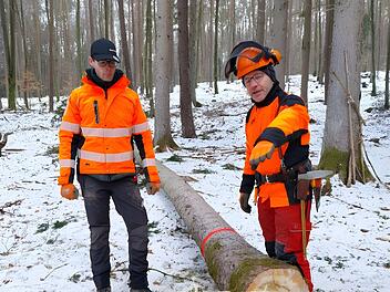 Nach getaner Arbeit: F&ouml;rster Niklas Damm und Forstwirtschaftsmeister Michael Schneider am gef&auml;llten Baum im Gemeindewald von Sch&ouml;nau.