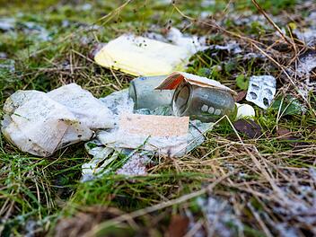 Illegale Müllentsorgung im Wald