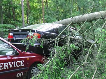 Autsch, da hat's gekracht.alle Fotos: Christian Licha