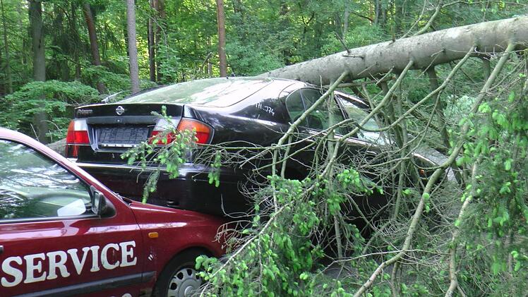 Autsch, da hat's gekracht.alle Fotos: Christian Licha