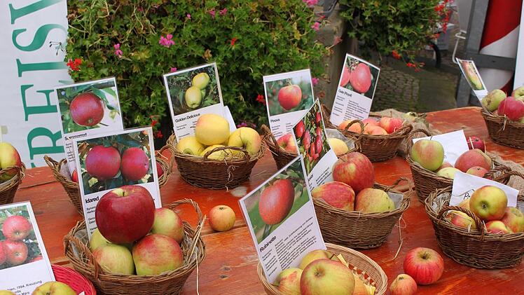 Ein Teil der Äpfel der Obstsorten-AusstellungKatharina Becht