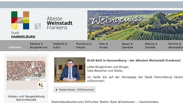 Die Homepage der Stadt Hammelburg soll neu gestaltet werden.  Screenshot: Ralf Ruppert