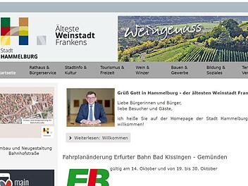 Die Homepage der Stadt Hammelburg soll neu gestaltet werden.  Screenshot: Ralf Ruppert