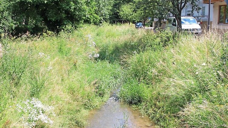 Entlang des Kellbaches in Ebensfeld stehen Gras und Unkraut zur Zeit sehr hoch. Bald soll dort gemäht werden.