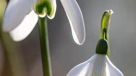 Foto: Bernd Schieber