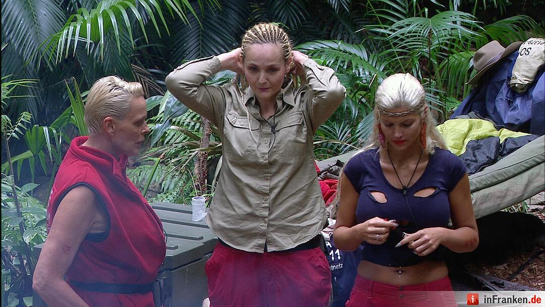 Ich bin ein Star _ Holt mich hier raus!