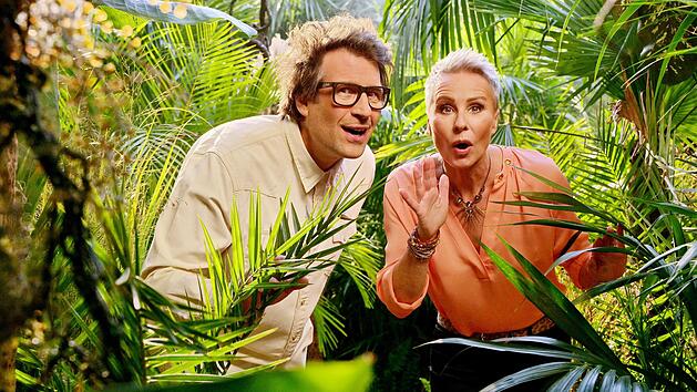 Daniel Hartwich und Sonja Zietlow moderierten auch 2022 wieder das RTL-Dschungelcamp.