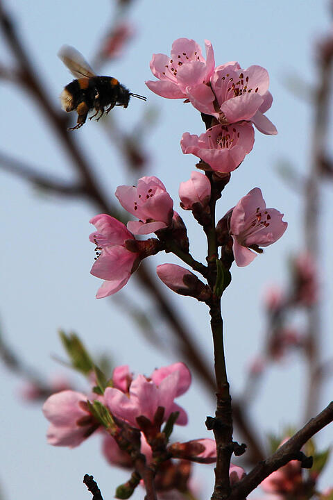 Fotos Konrad Thomann