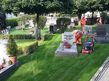 Nicht nur optisch attraktiv, sondern auch pflegeleicht ist der neue Rollrasen, den die Stadtgärtner im Alten Friedhof verlegt haben. Momentan wird die Anlage an der Fuldaer Straße Stück für Stück umgestaltet. Foto: Rolf Pralle