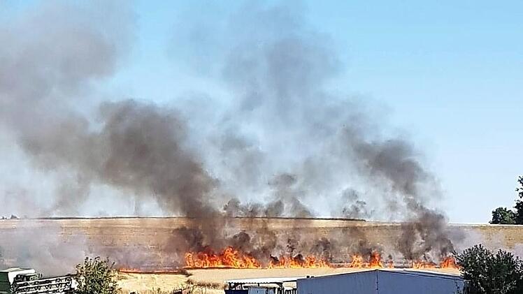 Das Feuer hat sich bei Erlau schnell durch die trockenen Stoppeln auf dem Feld gefressen.  Foto: Richard Reiser