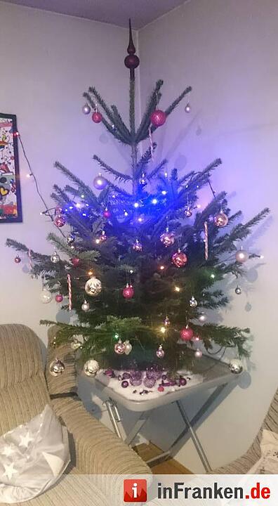 Weihnachten in Franken: Die Christbäume unserer Leser