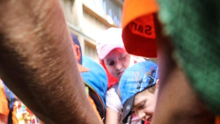 Foto: Barbara Herbst