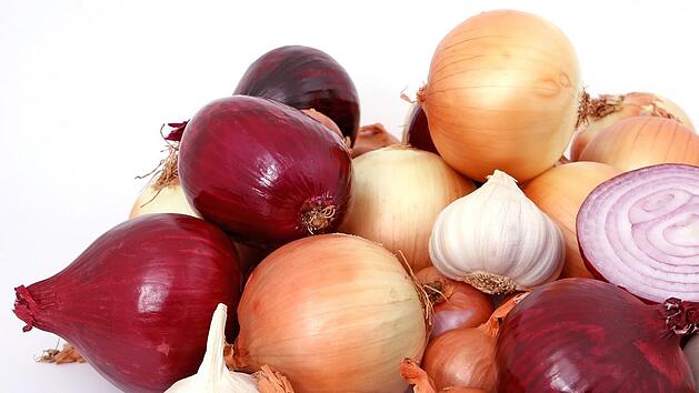 Zwiebeln gelten allgemein als sehr gesund.