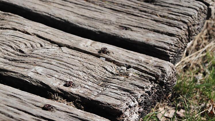 Ein genauer Blick macht deutlich, wie dringend die Sanierung ist. Thomas Pfeuffer