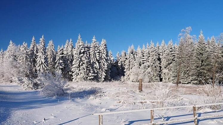 Rhöner Winterlandschaft vom 28. Dezember: Bei traumhaften Wetter in der Langen Rhön und am Treffpunkt Schwarzes Moor.  Foto: Harald Beyer