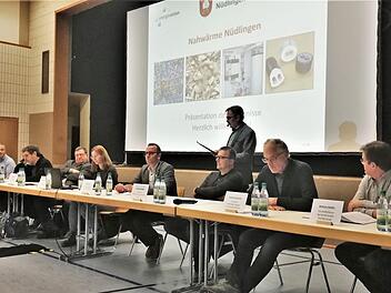 Mit einem Großaufgebot regionaler Praktiker und Berater warb Bürgermeister Harald Hofmann (stehend) für die Gründung einer Genossenschaft.