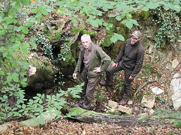 Hans Stark (links), der Leiter des Universitätsforstamts Sailershausen, und sein Kollege Björn Lieblein haben in dieser Schlucht unterhalb des Diebsbrunnens im Sailershäuser Wald einen Geocache in einer Baumwurzel gefunden. Eine Stelle, die nach Meinung der beiden Forstleute nicht für Geocaching geeignet ist, da das Gebiet unter Naturschutz steht.  Foto: Friederike Stark