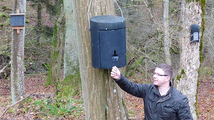 Projektingenieur Markus Eichhorn zeigt einen der Fledermaus-Überwinterungskästen, die im Rahmen der naturschützerischen Ausgleichsmaßnahmen im Forstwald aufgehängt wurden.  Foto: Manfred Wagner