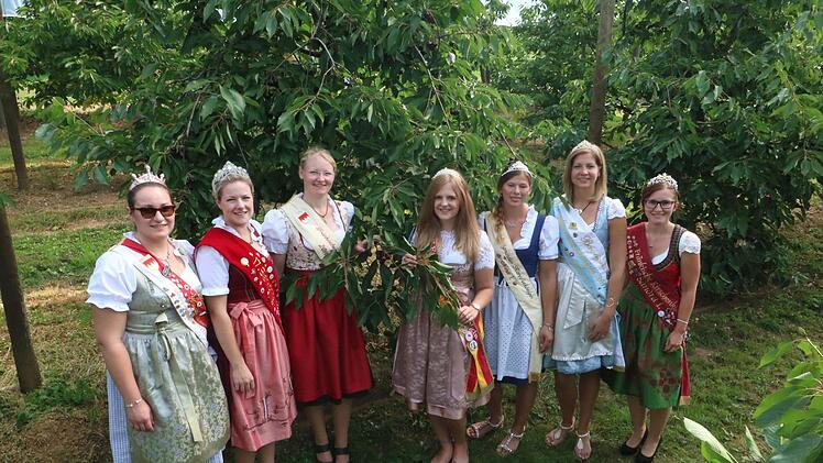 Die Majest&auml;ten Foto: Andreas Hofbauer