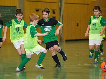 Durch einen abschließenden 2:0-Sieg gegen den TSV Neukenroth wurde der SV Wolfers-/Neuengrün Zweiter in der Gruppe 1 und hat sich damit für die Endrunde qualifiziert. Foto: Heinrich Weiß