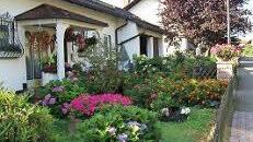 Ein Vorgarten als Blickfang. Foto: Hubert Töpfer/Archiv