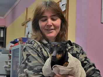 Mittlerweile lässt sich Rehpinscherdame Aroha von Katrin Meserth anfassen. Bis dahin war es ein langer Weg. Foto: Sandra Hackenberg