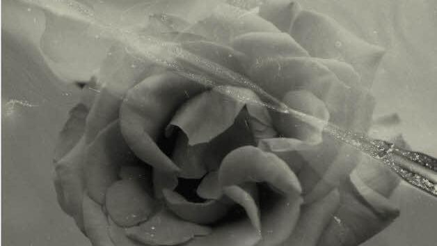 Die hinterleuchtete Rose empfängt die Besucher im Untergeschoss des Hexenturms