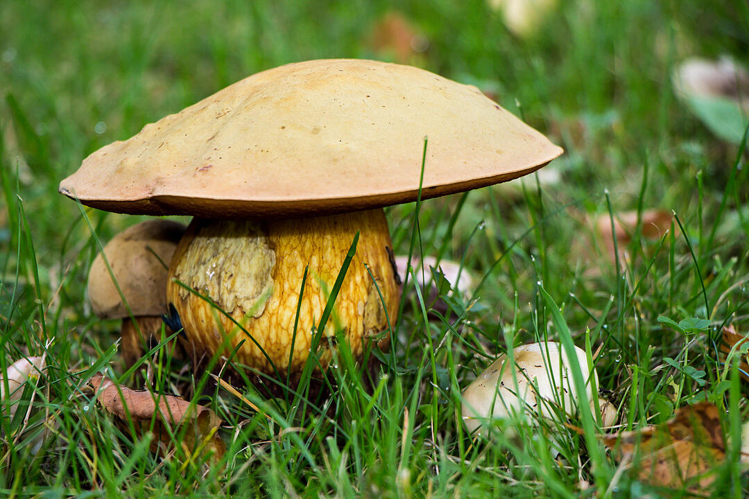 Fotos Konrad Thomann