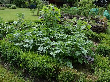 Ein Garten macht immer auch Arbeit, vor allem dann, wenn man dort auch etwas ernten möchte. Das ist nicht jedermanns Sache. Foto: Dagmar Besand